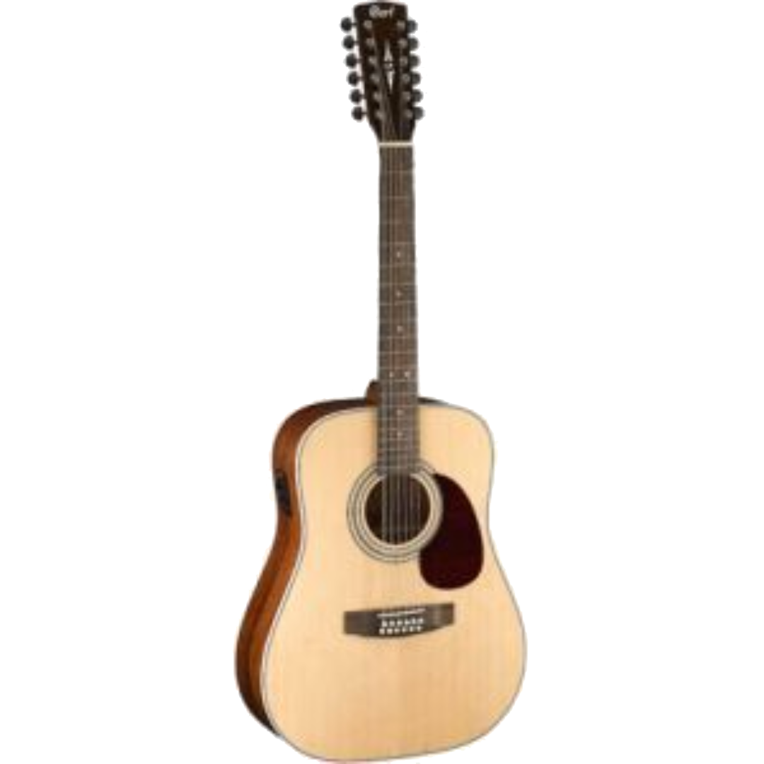Guitarras Electroacústicas de 12 cuerdas