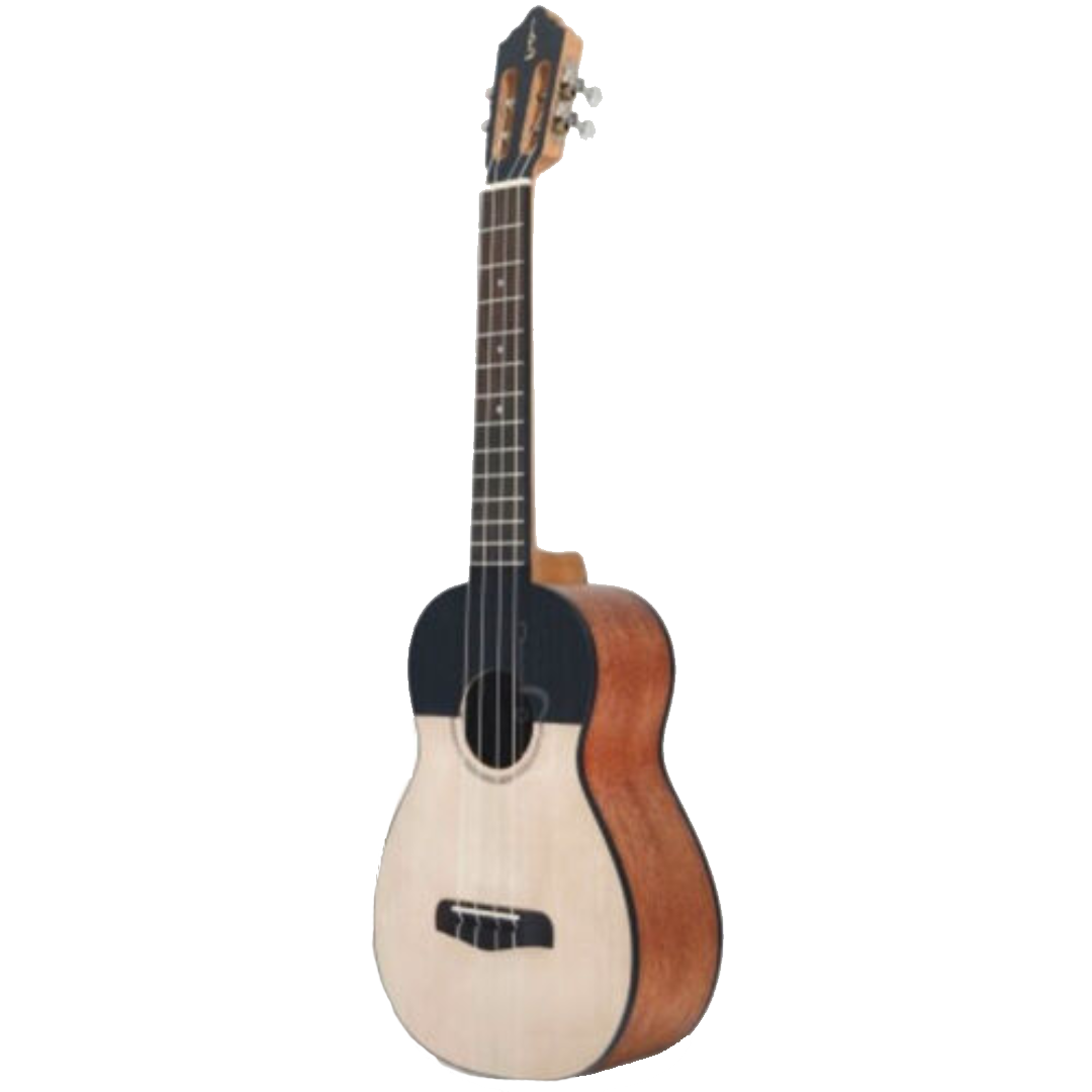 Otros Instrumentos de Cuerda