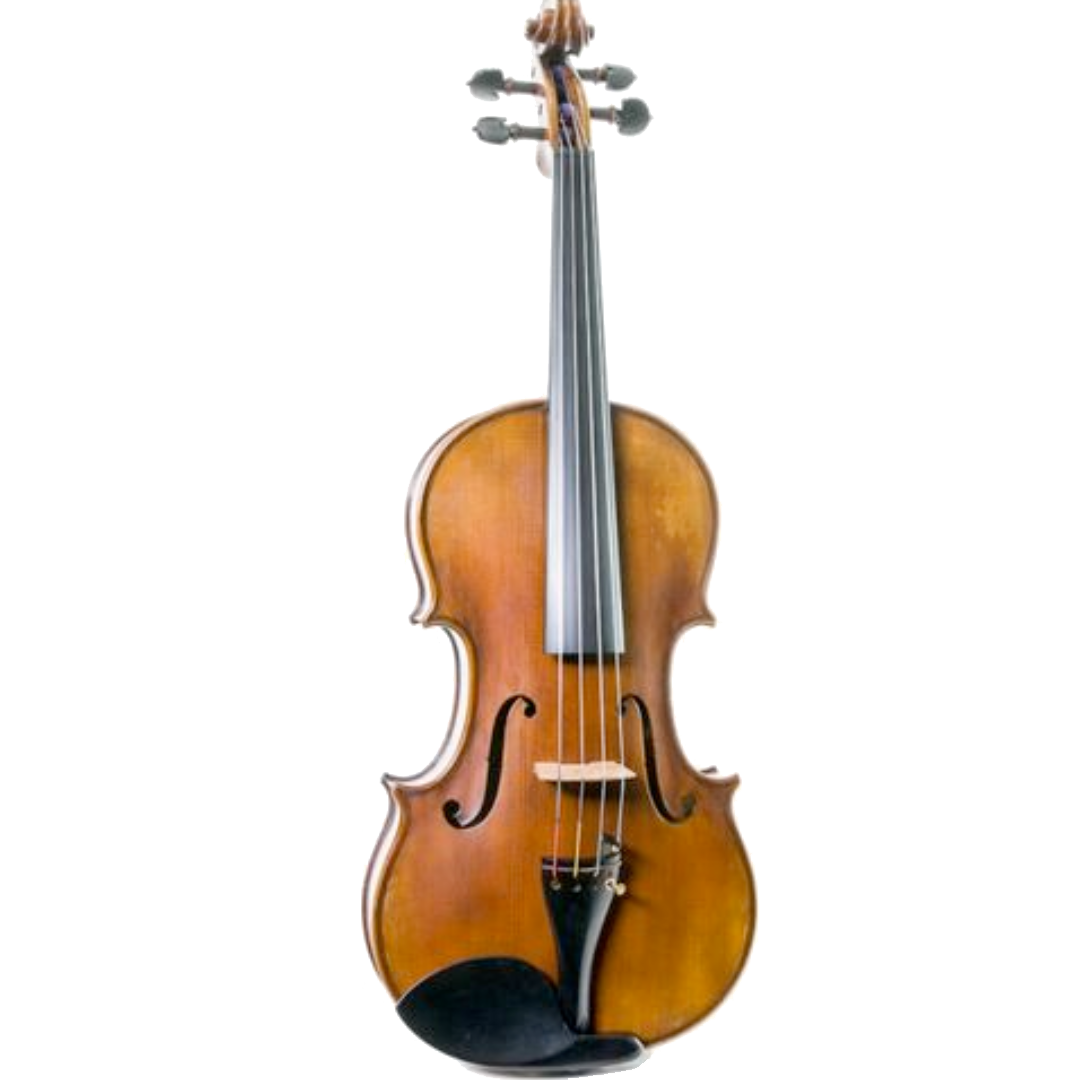 Violas 16,5"