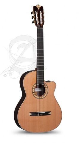 Guitarra Semi-acústica Alhambra CS-3 CW E8