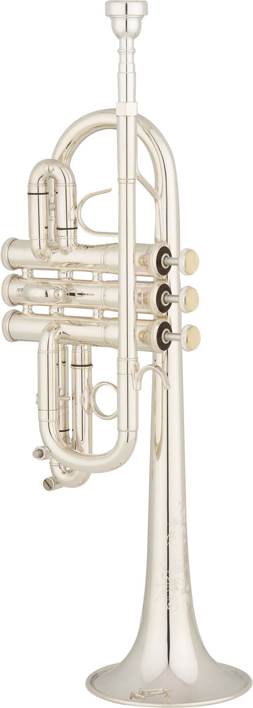 Trompeta Re/Mib EASTMAN Performance ETR554S