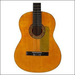 Golpeador Clasica Electroestatico Transparente Ortola Golpeador Clasica Electroestatico Transparente Ortola