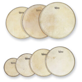 Parche Piel C/ Arillo Bordonero de 35 Cm 08742 Gonalca