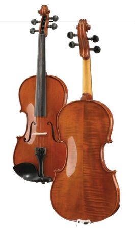 Viola Serie Estudio Höfner-Alfred As160va de 14