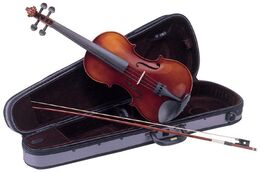 Violín Carlo Giordano Vs1 3/4