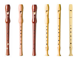 Pack Flautas Hohner  30 Uds