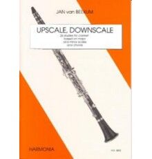 Upscale Downscale