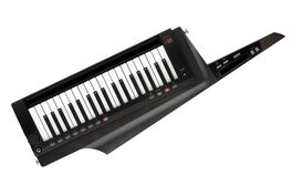 Korg Teclado Sintetizador Profesional Rk-100s 2 Bk