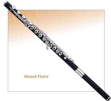 Flauta Sankyo Wf-Be Granadillo