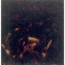 Golpeador Adhesivo Acústica Gotoh F5 Negro Concha