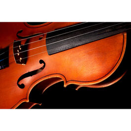 Juego Cuerdas Violín Popular G-105/4/4