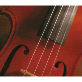 Juego Cuerdas Violín Popular V-105/1/2