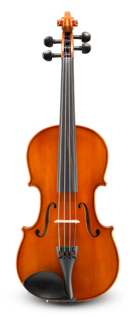 Violín Eastman 1/8 VL5018SBC Student Montado Estuche y Arco