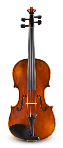 Violín Eastman 1/2 VL30512 Performance