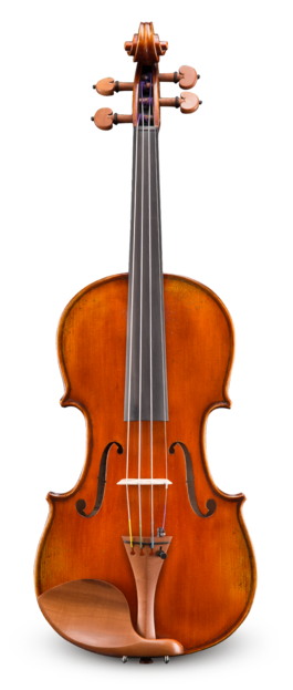 Violín Eastman 4/4 VL40544 Performance