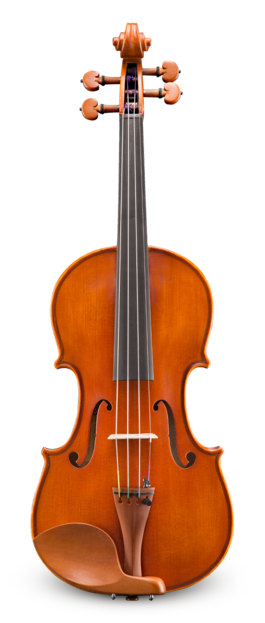 Violín Eastman 1/2 VL25012SBC Performance Montado Estuche y Arco