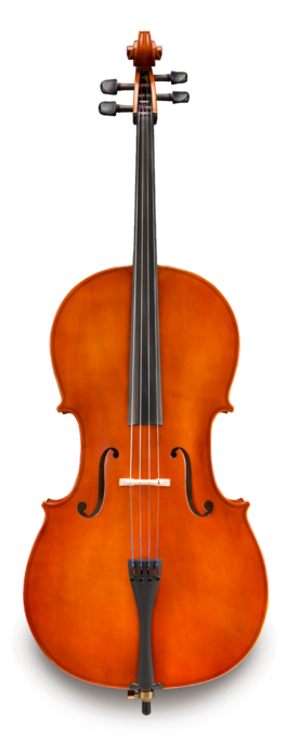 Violonchelo Eastman 1/4 VC5014 Student Montado Estuche y Arco