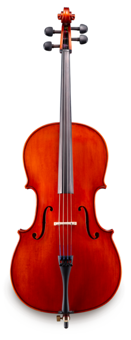 Violonchelo Eastman 1/8 VC15018 Student Montado Estuche y Arco
