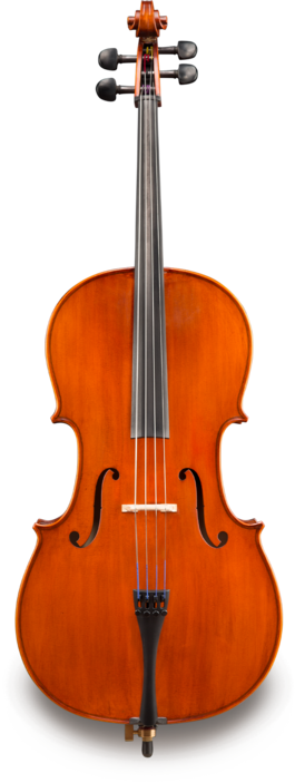 Violonchelo Eastman 1/8 VC17018 Student Montado Estuche y Arco