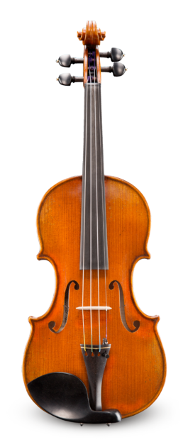 Violín Eastman 4/4 VL70244G Professional