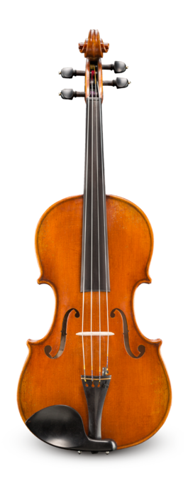 Viola Eastman 16.5 VA702165G Professional