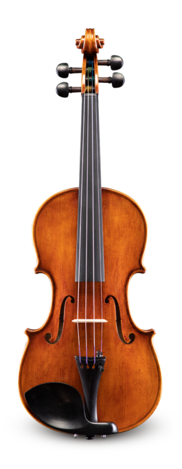 Viola Eastman 16 VA830P16 830 Series
