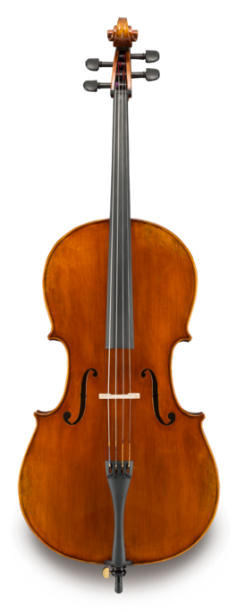Violonchelo Eastman 4/4 VC40544 Performance