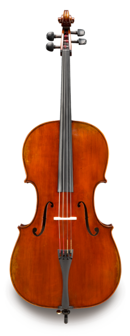 Violonchelo Eastman 4/4 VC60144G Performance