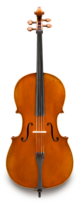 Violonchelo Eastman VC2AA Amsterdam Atelier Series