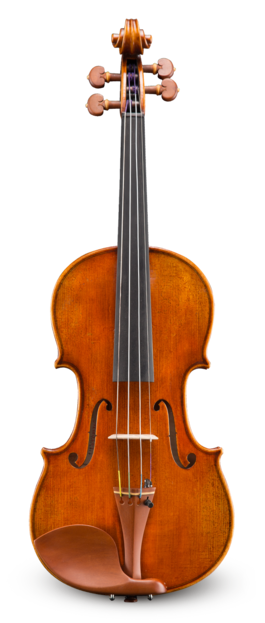 Violín Eastman 4/4 VL92844 Professional