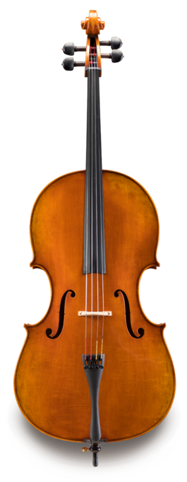 Violonchelo Eastman 4/4 VC70244G Professional