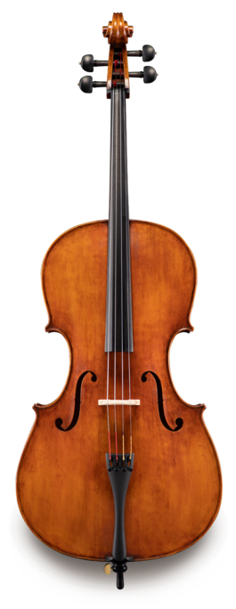 Violonchelo Eastman 4/4 VC83044 Serie 830