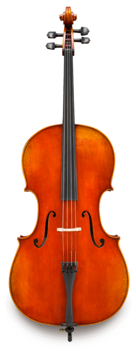 Violonchelo Eastman 4/4 VC70344G Professional
