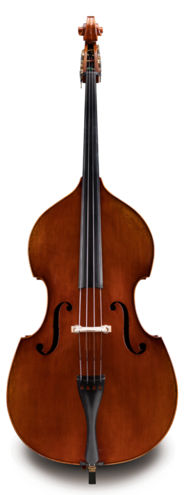 Contrabajo Eastman 3/4 VB70234 Professional