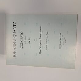 Concerto in D minor QV 5:81