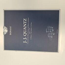 Concerto for Flute, Strings and Basso Continuo QV 5 : 174 G Major