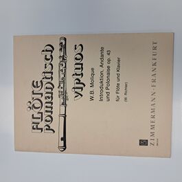 Introduktion, Andante und Polonaise op. 43