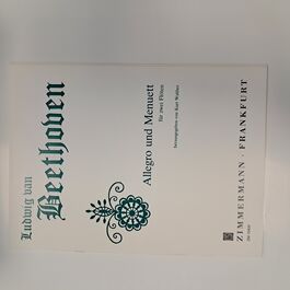 Allegro und Menuett für zwei Flöten