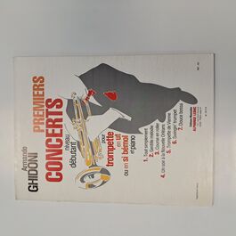 Premiers Concerts niveau débutant