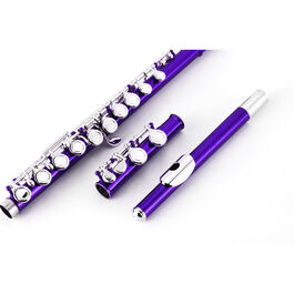 Flauta Travesera Taylor Collins TCFL-538PR Platos cerrados Púrpura