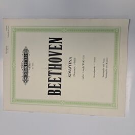 Sonatina D Minor Beethocen