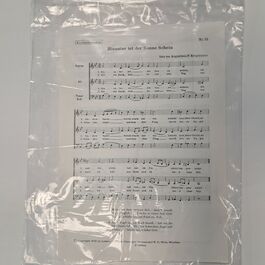 Hinunter ist der Sonne Schein