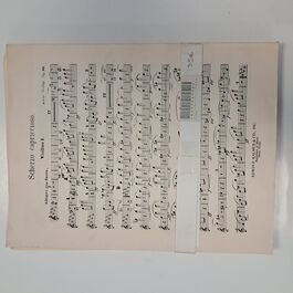 Scherzo Caprichoso Drovak