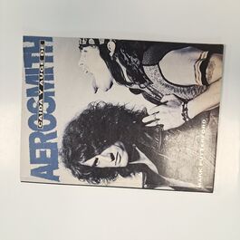 Caida y Auge de Aerosmith