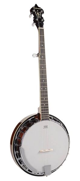 Banjo Folk Richwood 5 Cuerdas Caoba 24 Tensores