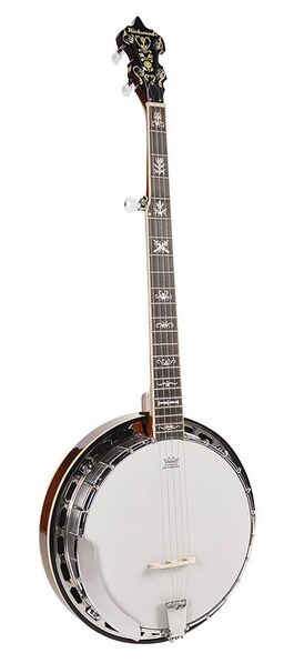Banjo Bluegrass Richwood de 5 Cuerdas 24t