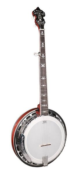 Banjo Bluegrass 5 Cuerdas Richwood Aluminio 24t