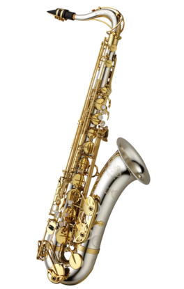 Saxo Tenor Yanagisawa T-WO33 Saxo Tenor Yanagisawa T-WO33