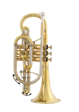 Corneta Willson 430 Celebration Red Brass