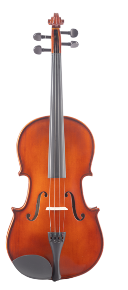 Viola Amadeus Vlf14
